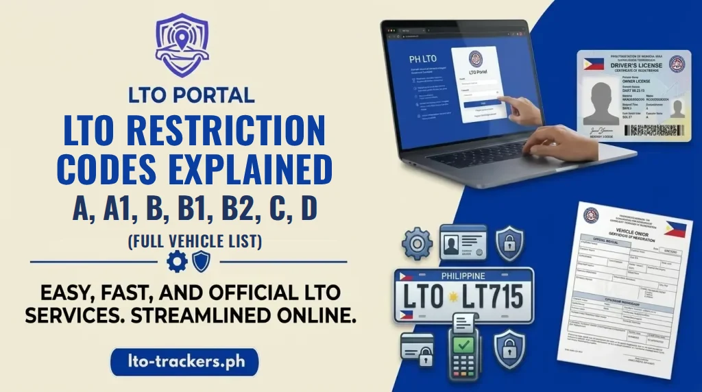 lto-restriction-codes-explained